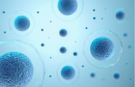 WinMedica expands oncology portfolio
